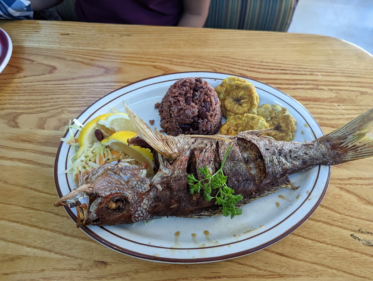 Centro Americaña Restaurant Photos 2